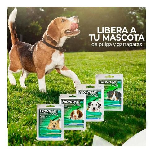 Pipeta Frontline Plus Perros 20 A 40 Kg Pulgas Garrapatas Verde - Image 2
