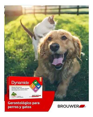 Dynamide Condroprotector Para Perros Y Gatos X30 Comprimidos - Image 5