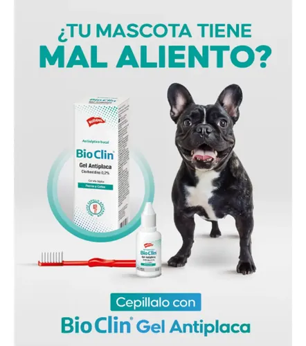 Gel Antiplaca Para Perro Bio Clin Clorhexidina C/ Cepillo X2 Pollo - Image 2