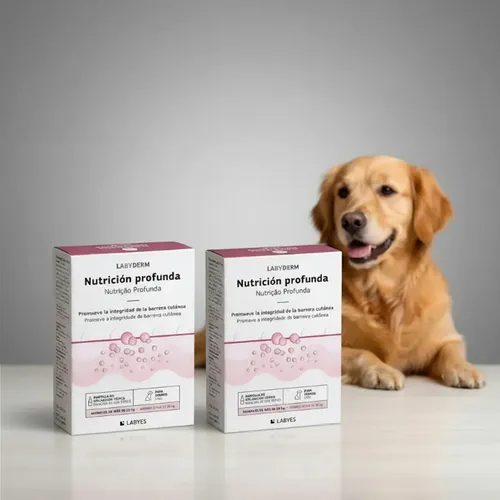 Ampolla Regeneradora Para Perros Labyderm Nutrición Profunda - Image 4