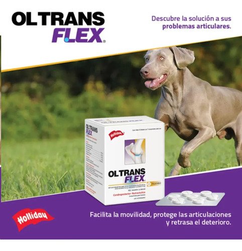 Suplemento Condroprotector Ol Trans Flex Holliday Mascota Perro 70 Comprimidos Pollo - Image 3