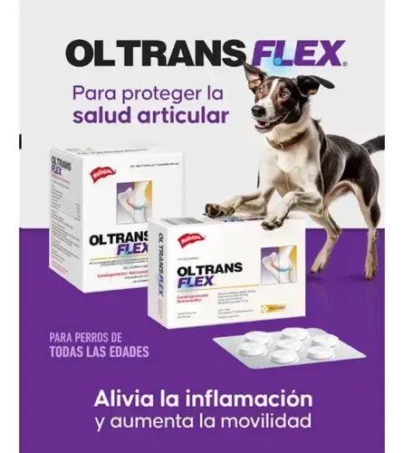 Condroprotector Holliday Ol Trans Flex Para Perros Con Vitaminas Y Glucosamina Sabor Sabroso - Imagen 3