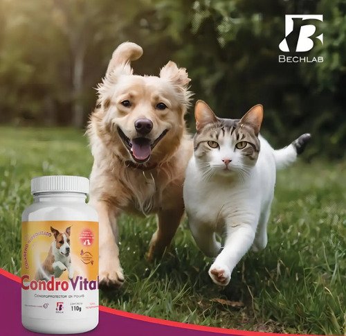Condrovital Glucosamina Perros Gatos Suplemento Articular Bechlab 110g - Image 4