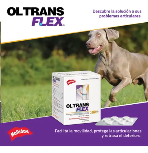 Ol Trans Flex Holliday 70 Comprimidos - Image 6