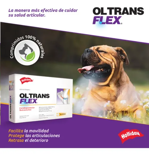 Ol Trans Flex Holliday 70 Comprimidos - Image 4