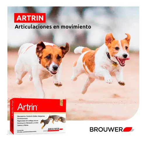 Artrin Condroprotector Para Perros Y Gatos X 30 Comprimidos - Image 5
