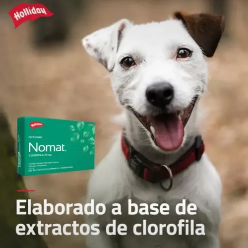 Nomat Perro X20 Comp Mal Aliento Olor Corporal Gases - Image 7