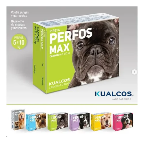 Pipeta Pulgas Y Garrapatas Perfos Perro De 5 A 10kg X 2u. Perfos 5 A 10kg X2 Unidades - Image 5