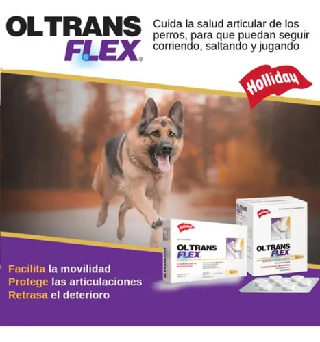 Ol Trans Flex Holliday 70 Comprimidos - Image 5