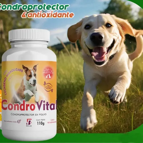 Condrovital Suplemento Articular Condroprotector Perro Gato - Image 2