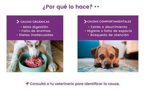 Suplemento Koprofagia Coprofagia Heces Polvo 60 G Perro - Imagen 5