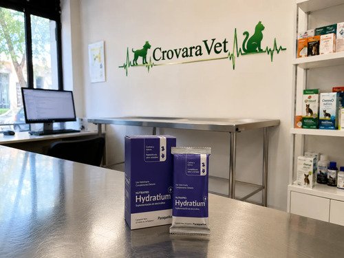 Hydratium Suplemento De Electrolitos Perros Gatos X10 Sobres - Imagen 4