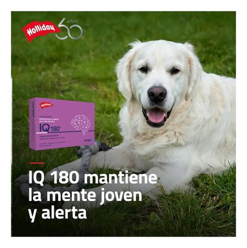 Iq180 21 Comp Neuroprotector Perros Y Gatos Pack X 2 - Imagen 4