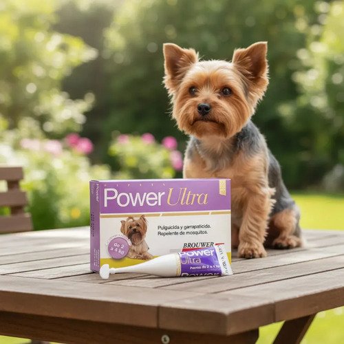 Pipeta Power Ultra Pulguicida Garrapaticida Perros 2-4 Kg Power 2 A 4 - Imagen 2