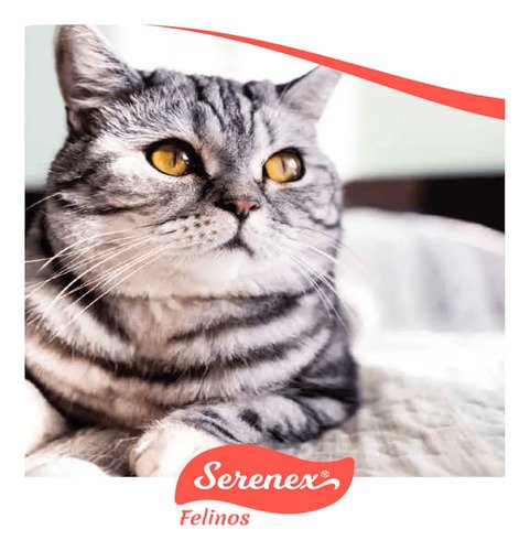 Serenex Feromonas 25ml Spray Para Gatos Felinos - Imagen 5