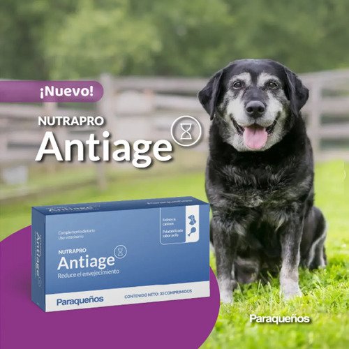 Nutrapro Antiage Suplemento Perros Gatos 30 Comp. Pack X 2 - Imagen 3