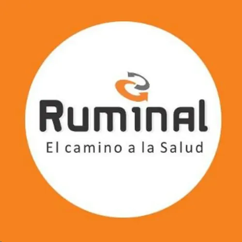 Shampoo Espuma Baño Seco Spray Perros Gatos Peluqueria Limón - Imagen 5