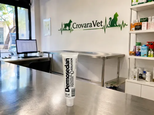 Dermosedan Antiséptico Clorhexidina 50ml Crema Perros Gatos Dermosedan Clorhexidina 50ml - Imagen 4