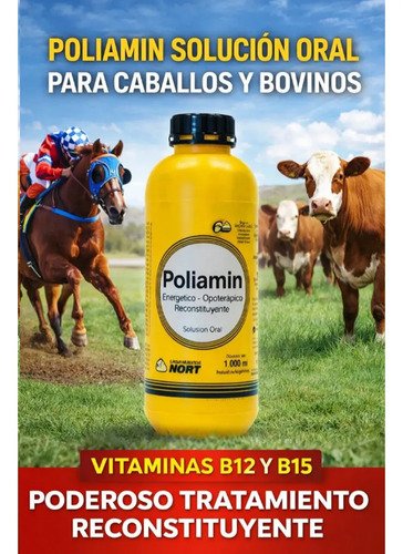 Poliamin Vitaminico Equino Bovino 1lt - Nort - Imagen 2