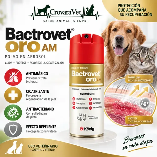 Curabichera Perros Y Gatos Cicatrizante Bactrovet Oro X250ml - Imagen 3