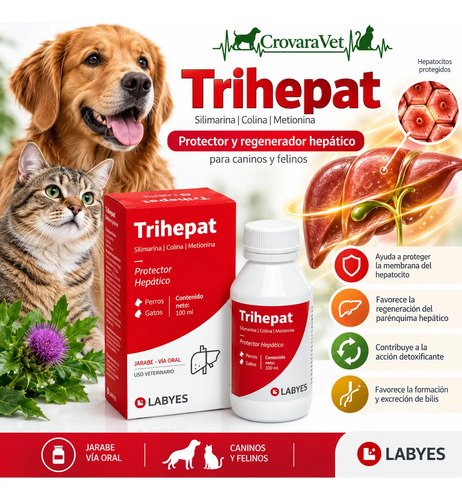 Suplemento Trihepat X 100 Ml Perro Gato Protector Hepático - Imagen 3