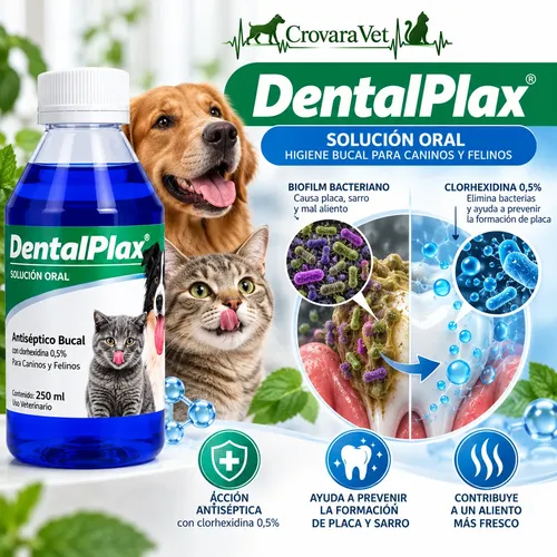 Dental Plax, X3 Antiséptico Bucal Mascotas Perro Gato 250 Ml Pollo - Imagen 4