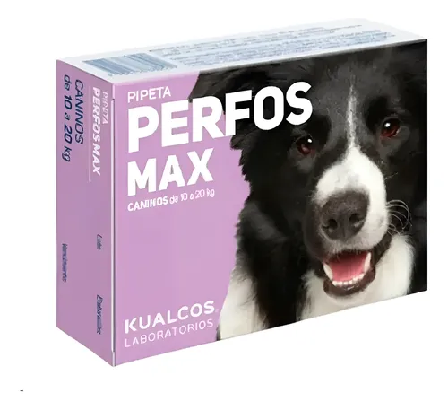 Pipeta Perfos Perros 10 A 20 Kg Pulgas Garrapatas Mosquitos Violeta