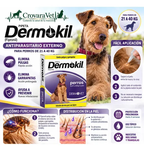 Pipeta Dermokil Caninos Perros 20 A 40 Kg Pulgas Garrapatas Dermokil 20 A 40kg - Imagen 2