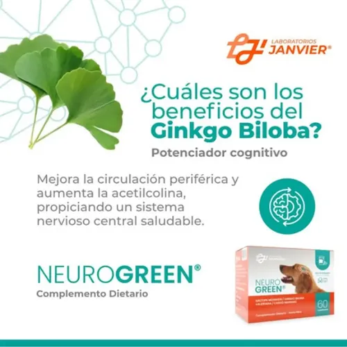 Suplemento Dietario Para Perros Neurogreen 60 Comprimidos - Imagen 5